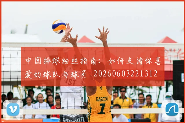 中国排球粉丝指南：如何支持你喜爱的球队与球员_20260603221312_20260703202631
