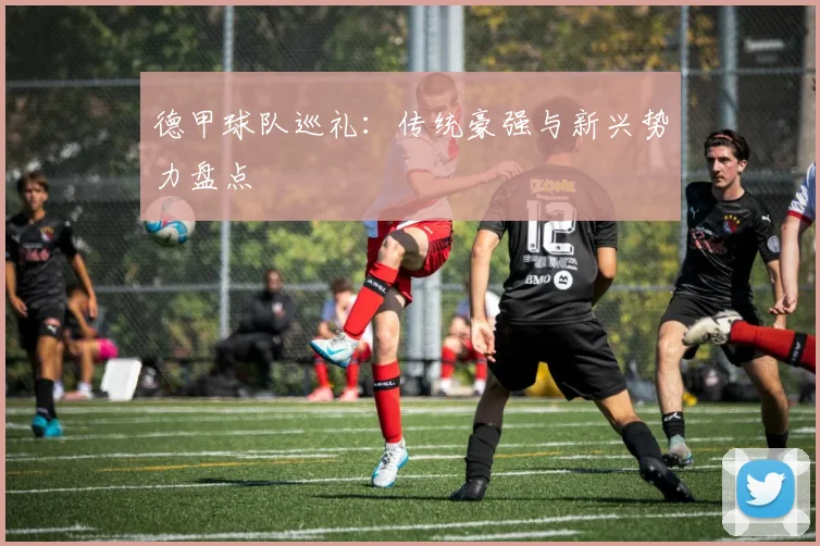 德甲球队巡礼:传统豪强与新兴势力盘点