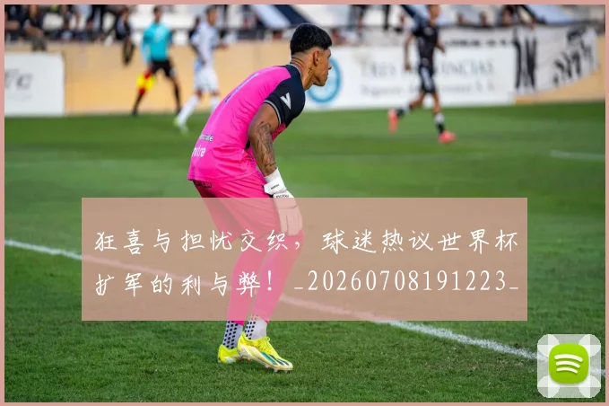 狂喜与担忧交织,球迷热议世界杯扩军的利与弊!_20260708191223_20260802155830