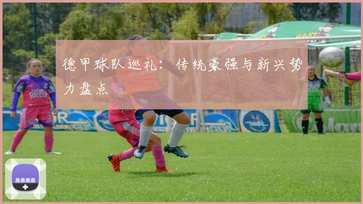 德甲球队巡礼:传统豪强与新兴势力盘点