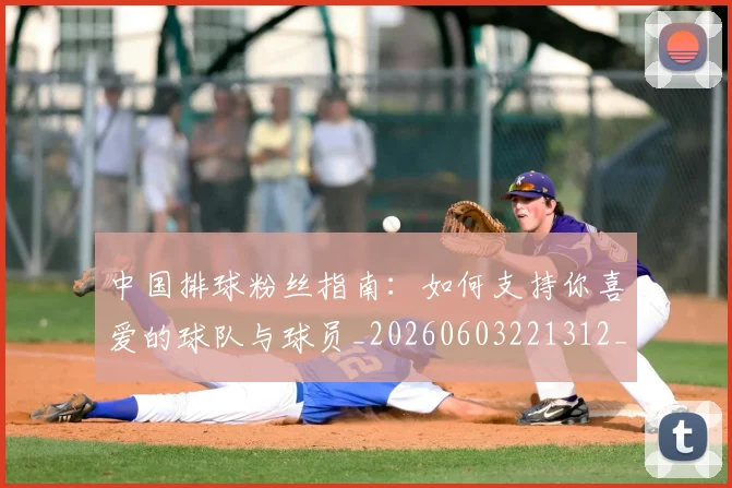 中国排球粉丝指南：如何支持你喜爱的球队与球员_20260603221312_20260703202631